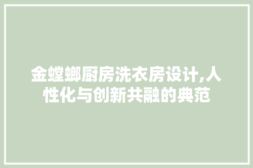 金螳螂厨房洗衣房设计,人性化与创新共融的典范