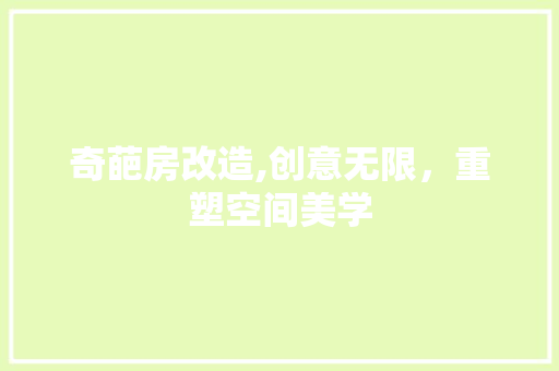 奇葩房改造,创意无限，重塑空间美学