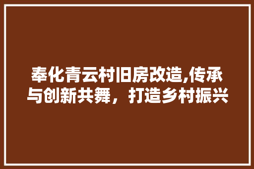 奉化青云村旧房改造,传承与创新共舞，打造乡村振兴新样板