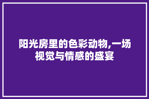 阳光房里的色彩动物,一场视觉与情感的盛宴