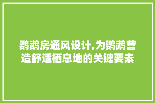 鹦鹉房通风设计,为鹦鹉营造舒适栖息地的关键要素