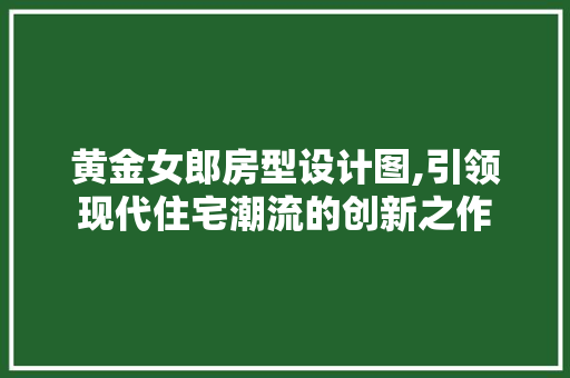 黄金女郎房型设计图,引领现代住宅潮流的创新之作