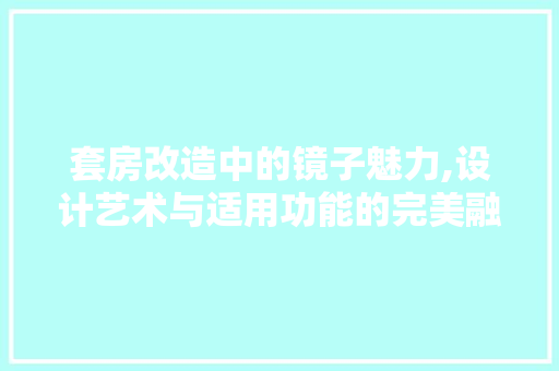 套房改造中的镜子魅力,设计艺术与适用功能的完美融合