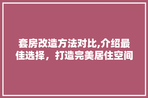 套房改造方法对比,介绍最佳选择，打造完美居住空间