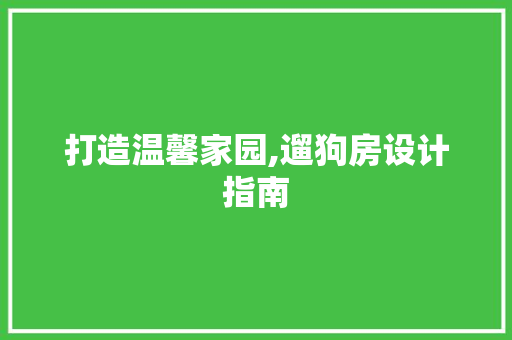 打造温馨家园,遛狗房设计指南