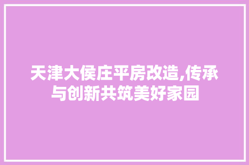 天津大侯庄平房改造,传承与创新共筑美好家园