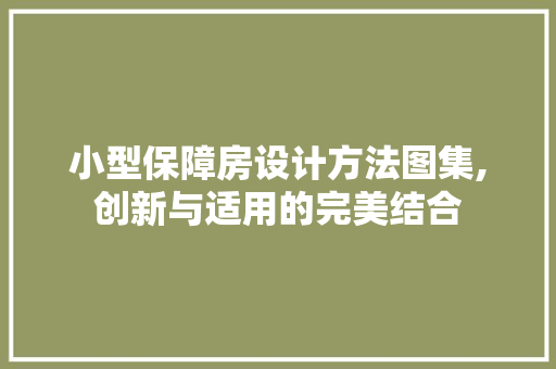 小型保障房设计方法图集,创新与适用的完美结合 地面装修
