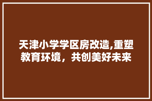 天津小学学区房改造,重塑教育环境，共创美好未来