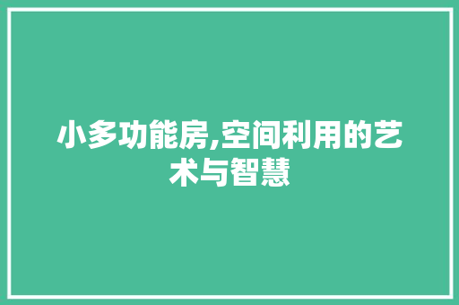 小多功能房,空间利用的艺术与智慧