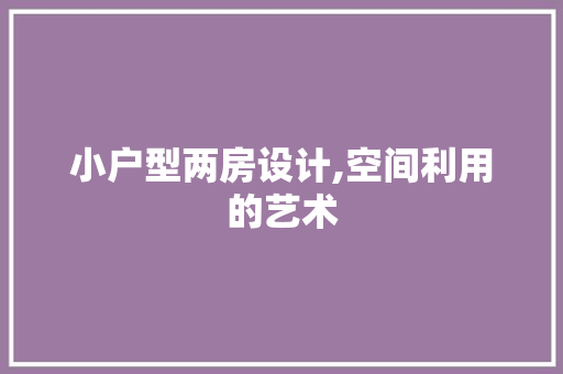 小户型两房设计,空间利用的艺术