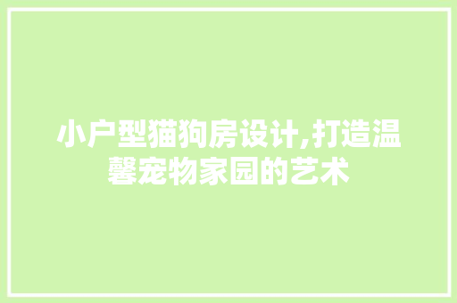 小户型猫狗房设计,打造温馨宠物家园的艺术