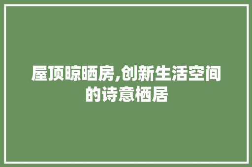 屋顶晾晒房,创新生活空间的诗意栖居