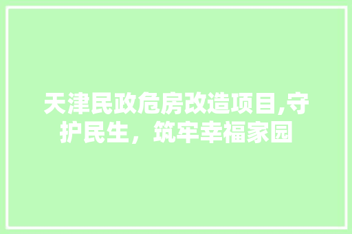 天津民政危房改造项目,守护民生，筑牢幸福家园