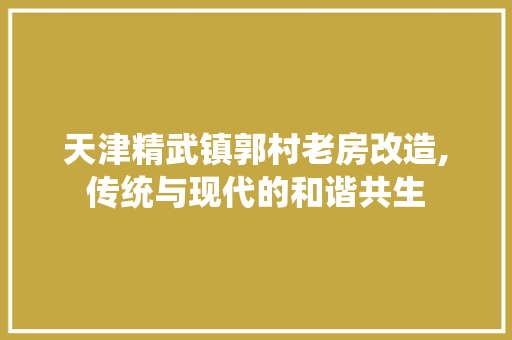 天津精武镇郭村老房改造,传统与现代的和谐共生