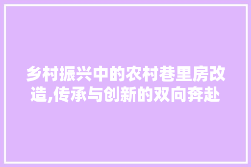 乡村振兴中的农村巷里房改造,传承与创新的双向奔赴