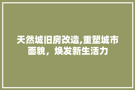 天然城旧房改造,重塑城市面貌，焕发新生活力