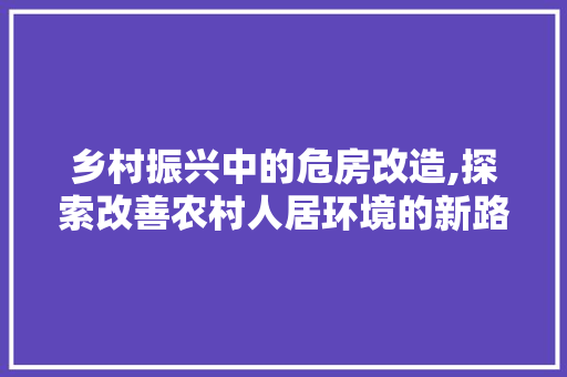 乡村振兴中的危房改造,探索改善农村人居环境的新路径