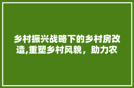 乡村振兴战略下的乡村房改造,重塑乡村风貌，助力农村可持续发展