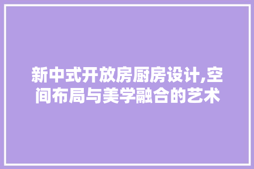 新中式开放房厨房设计,空间布局与美学融合的艺术