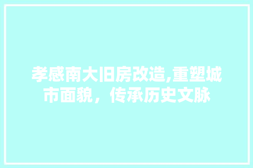 孝感南大旧房改造,重塑城市面貌，传承历史文脉