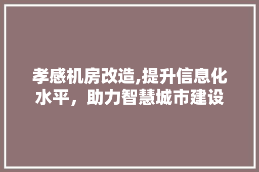 孝感机房改造,提升信息化水平，助力智慧城市建设