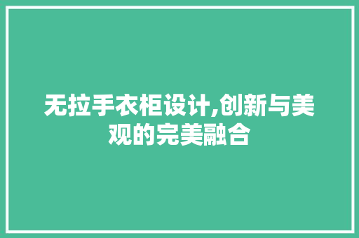 无拉手衣柜设计,创新与美观的完美融合