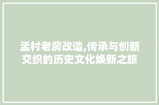 孟村老房改造,传承与创新交织的历史文化焕新之旅