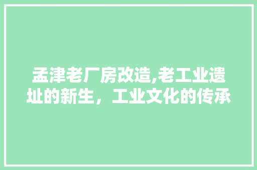 孟津老厂房改造,老工业遗址的新生，工业文化的传承与创新