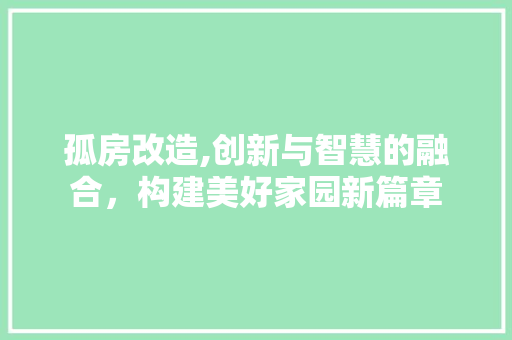 孤房改造,创新与智慧的融合，构建美好家园新篇章