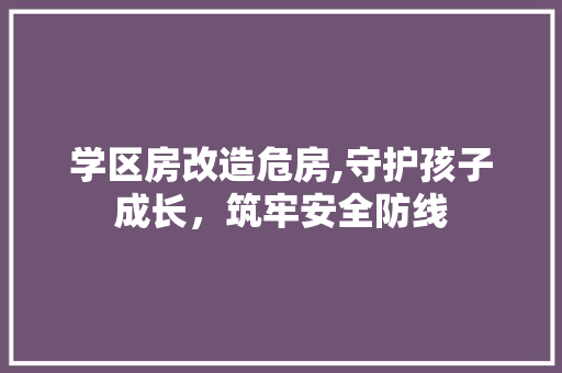 学区房改造危房,守护孩子成长，筑牢安全防线