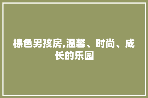 棕色男孩房,温馨、时尚、成长的乐园