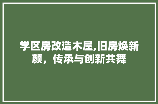 学区房改造木屋,旧房焕新颜，传承与创新共舞
