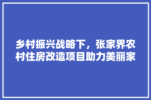 乡村振兴战略下，张家界农村住房改造项目助力美丽家园建设