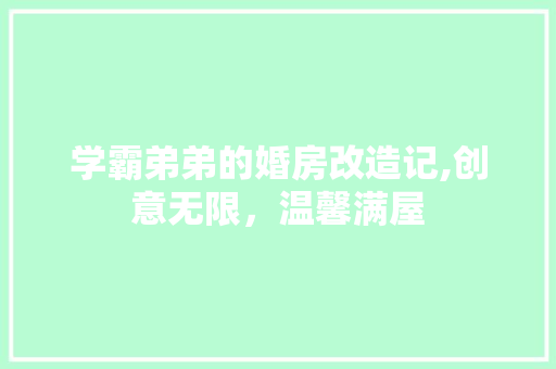 学霸弟弟的婚房改造记,创意无限，温馨满屋
