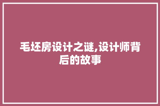 毛坯房设计之谜,设计师背后的故事
