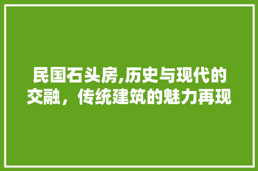 民国石头房,历史与现代的交融，传统建筑的魅力再现