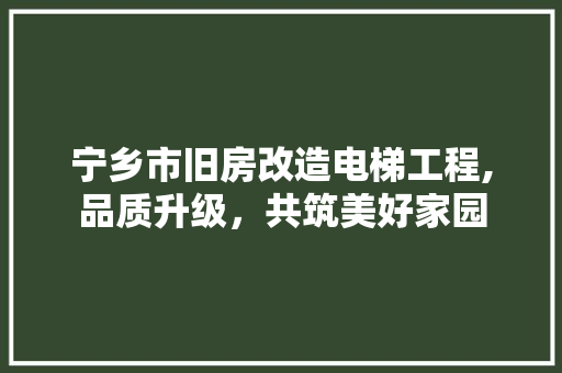 宁乡市旧房改造电梯工程,品质升级，共筑美好家园