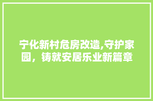 宁化新村危房改造,守护家园，铸就安居乐业新篇章