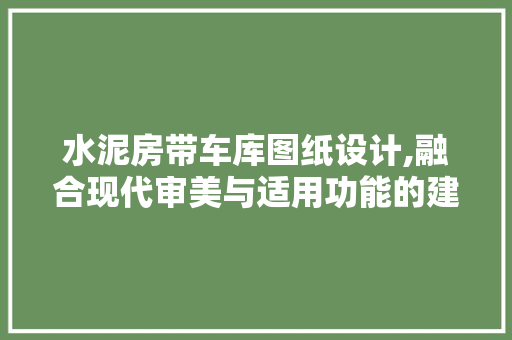 水泥房带车库图纸设计,融合现代审美与适用功能的建筑典范