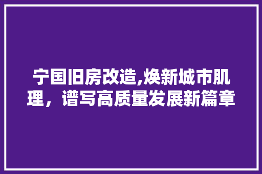宁国旧房改造,焕新城市肌理，谱写高质量发展新篇章