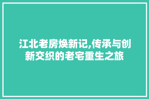 江北老房焕新记,传承与创新交织的老宅重生之旅