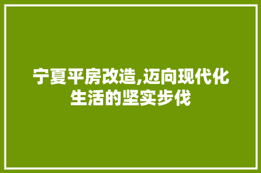 宁夏平房改造,迈向现代化生活的坚实步伐