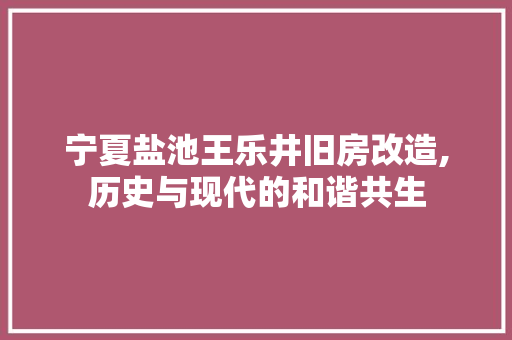 宁夏盐池王乐井旧房改造,历史与现代的和谐共生