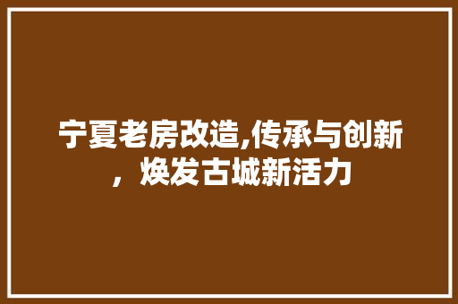 宁夏老房改造,传承与创新，焕发古城新活力