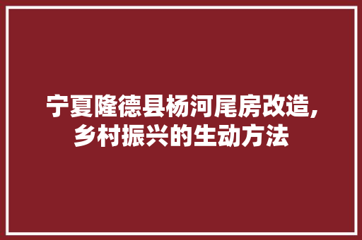 宁夏隆德县杨河尾房改造,乡村振兴的生动方法