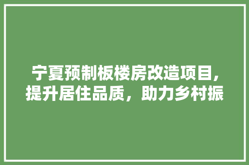 宁夏预制板楼房改造项目,提升居住品质，助力乡村振兴