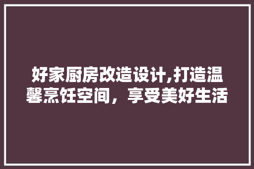 好家厨房改造设计,打造温馨烹饪空间，享受美好生活