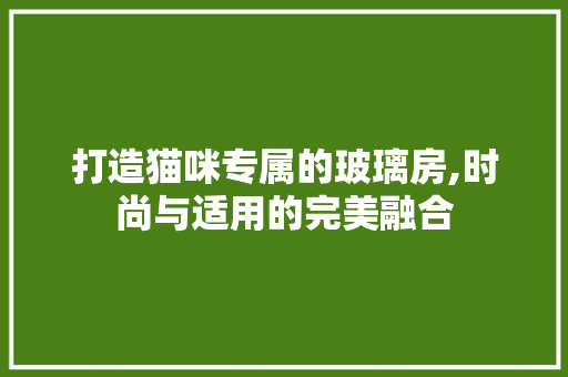 打造猫咪专属的玻璃房,时尚与适用的完美融合