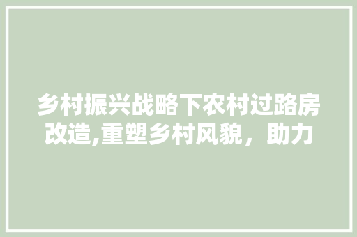 乡村振兴战略下农村过路房改造,重塑乡村风貌，助力共同富裕