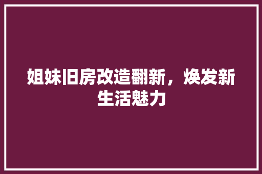 姐妹旧房改造翻新，焕发新生活魅力